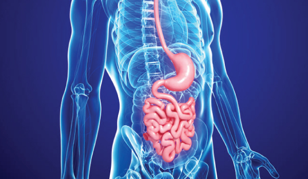 Gastroenterology Department