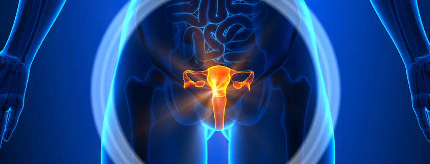 Gynecological Oncology Department